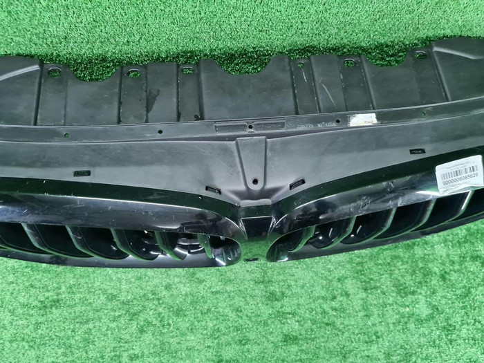 Решетка радиатора BMW X5 G05 (2018-2023)