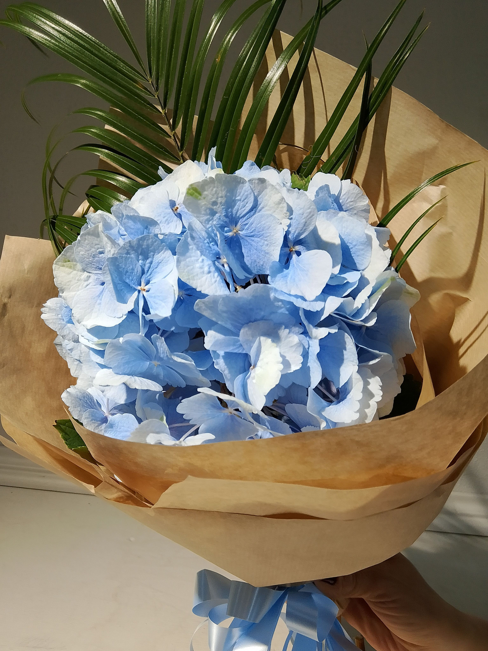 Комплимент с гортензии небесно-голубого цвета (М0030)