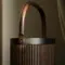 Bang & Olufsen Beosound A5 Dark Oak
