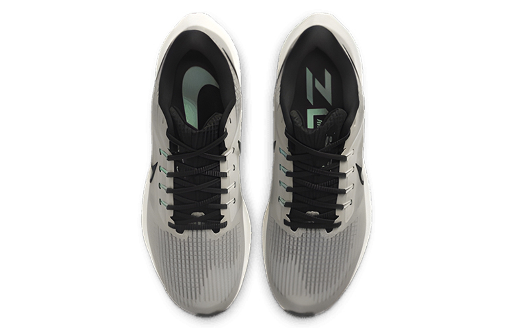 Кроссовки Nike Air Zoom Pegasus 39