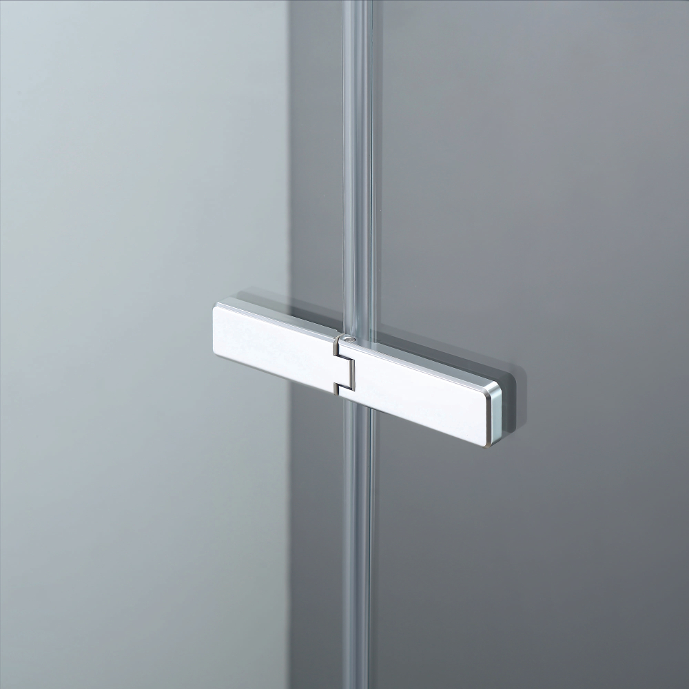 Душевой уголок с распашной дверью на петлях - RGW SV-040 (Матовое-Сатинат, 1200x800)