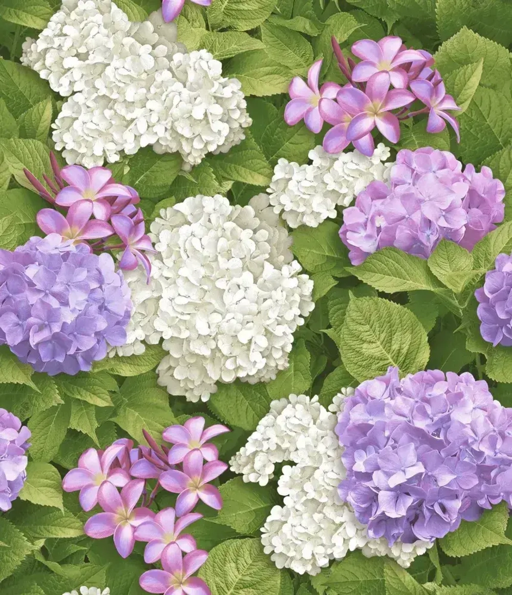 Обои бумажные Брянские обои Матильда 1 0.53*10м