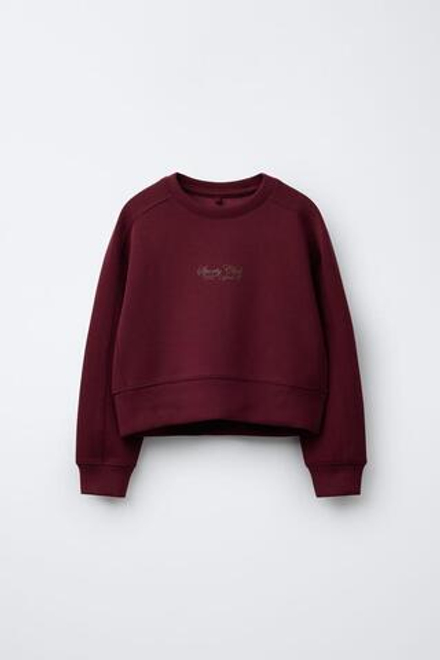 ZARA ТОЛСТОВКА С РЕЛЬЕФНОЙ НАДПИСЬЮ, БУРГУНДИ