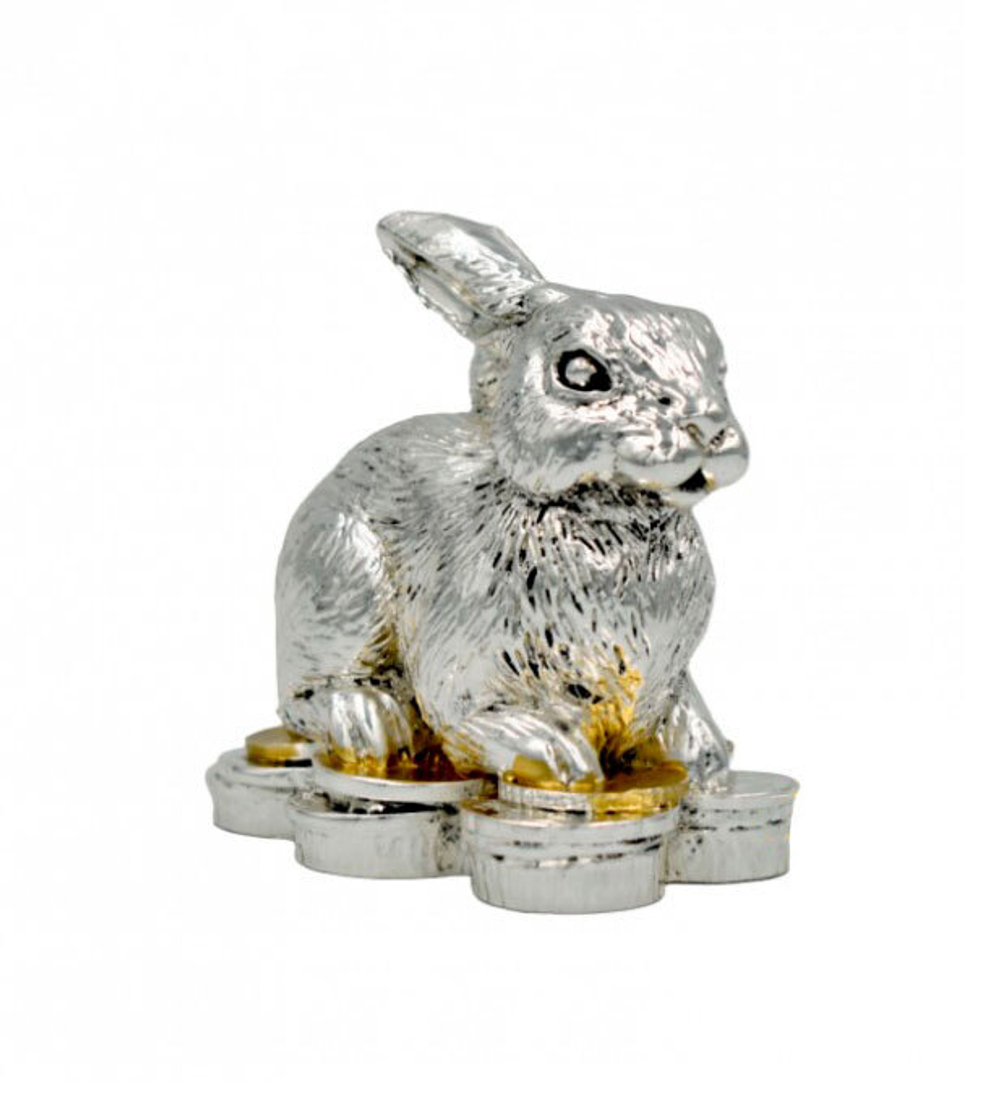 Серебряный кролик на монетах - Символ 2023 года