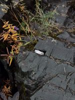 Кольцо Горы объёмные