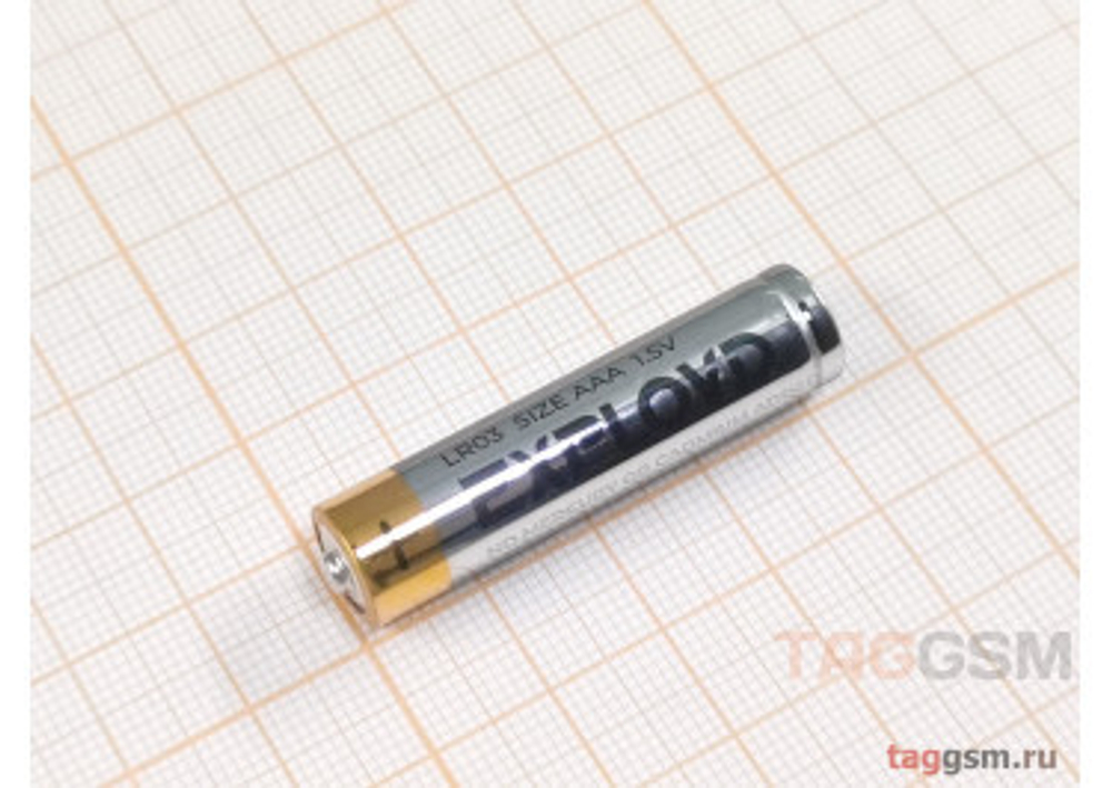 батарейка Exployd R-03-4Bl (1095)