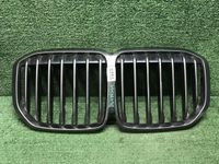 Решетка радиатора BMW X7 G07 (2019-2022)