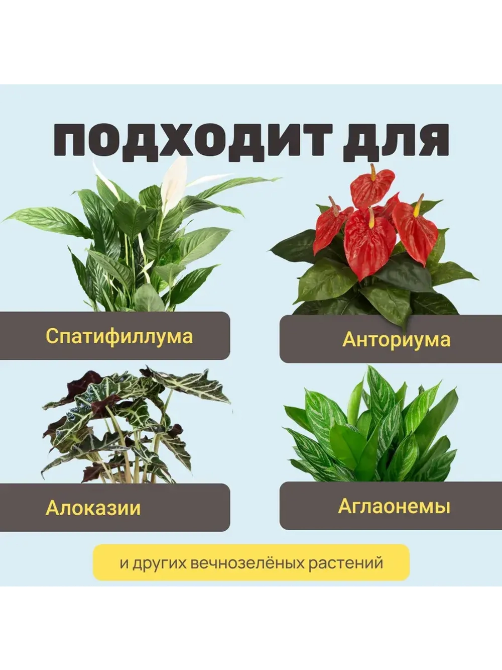 Органический грунт для спатифиллума 2,5 л