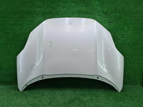 Капот Zeekr 001 (2021-н.в.)