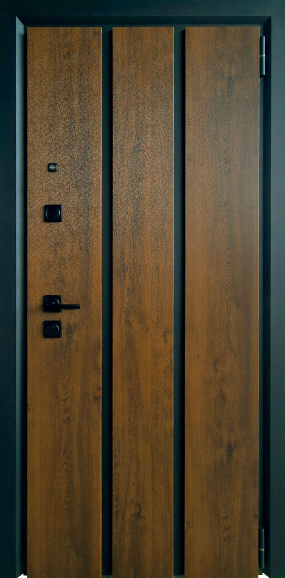 Дверь входная Safe House 276
