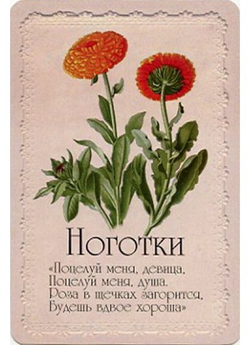 Оракул Селам или Язык Цветов