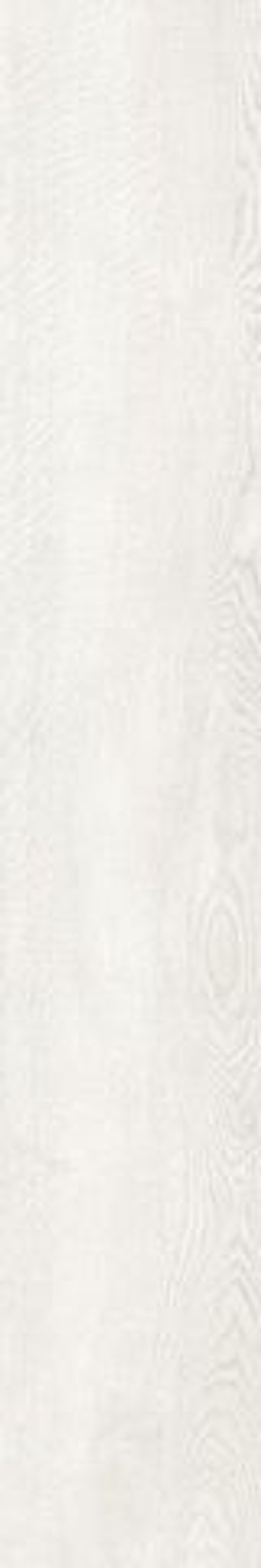 Grasaro Queens White 20x120