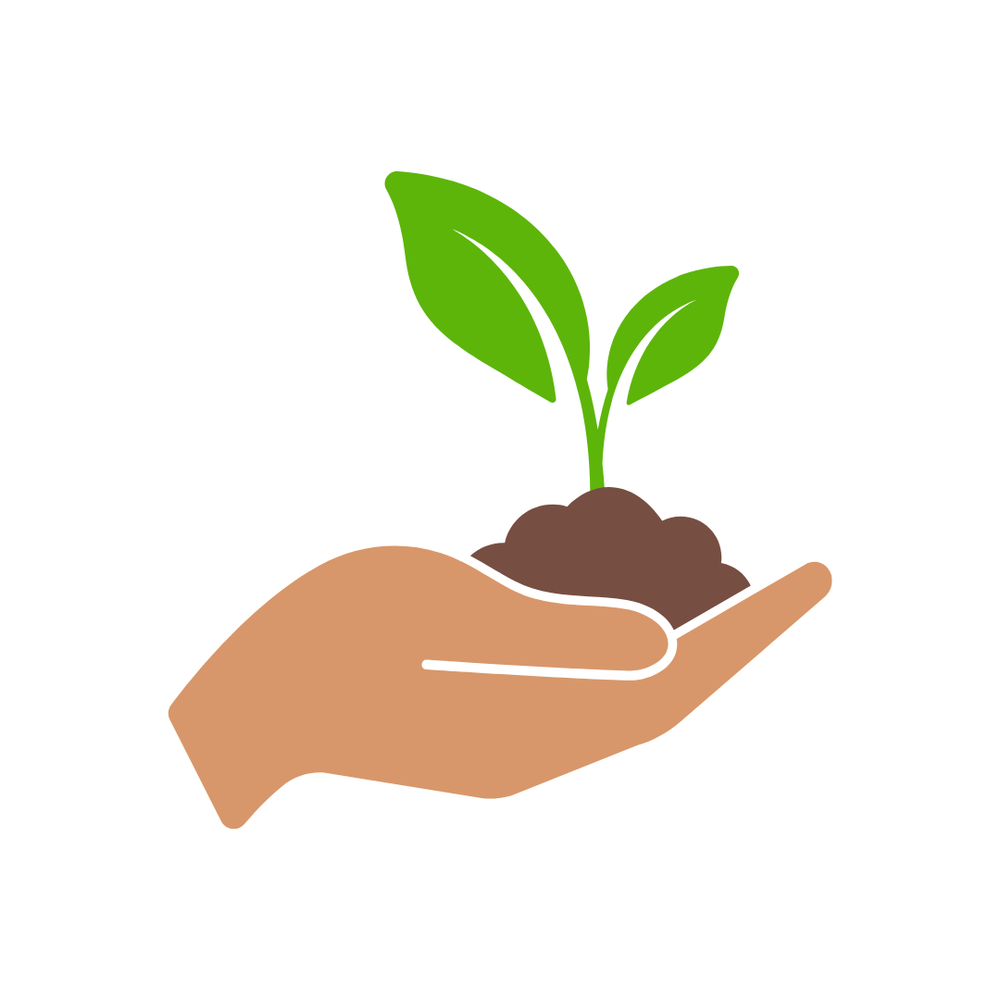 Курс по выращиванию микрозелени "Вип"