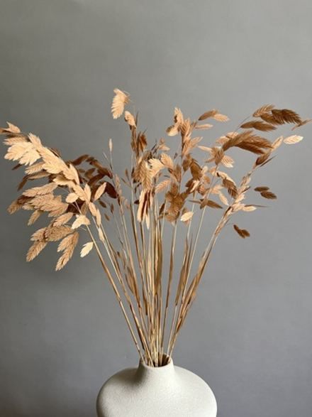 Хасмантиум бежевый