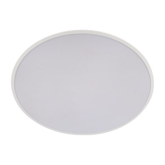 Потолочный светодиодный светильник Loft IT Brim 10226 White