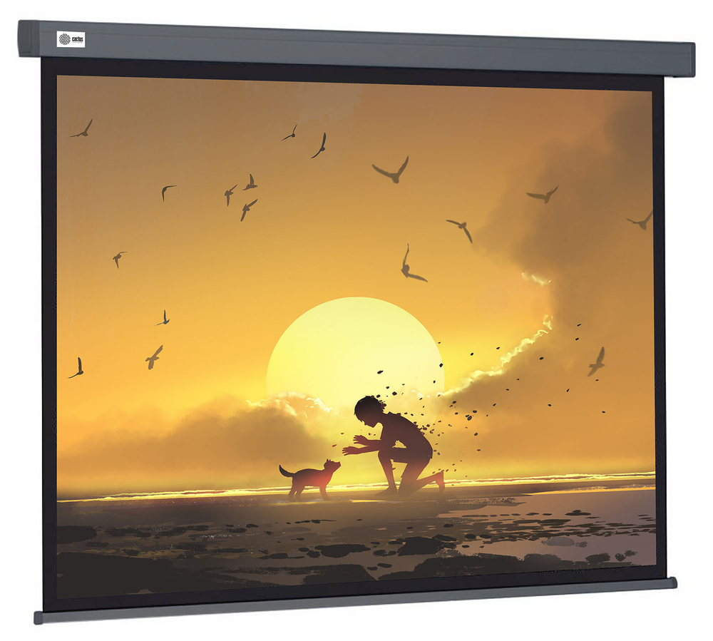 Экран  Cactus CS-PSW-124X221-SG