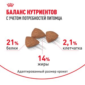 Сухой корм Royal Canin Mini Indoor Adult для взрослых собак мелких размеров, живущих в помещении