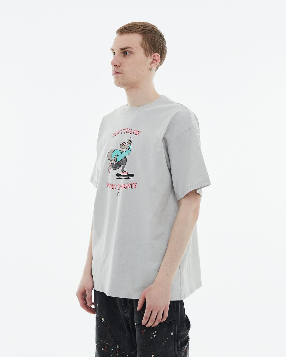 Футболка Anteater 352 Skate светло-серая