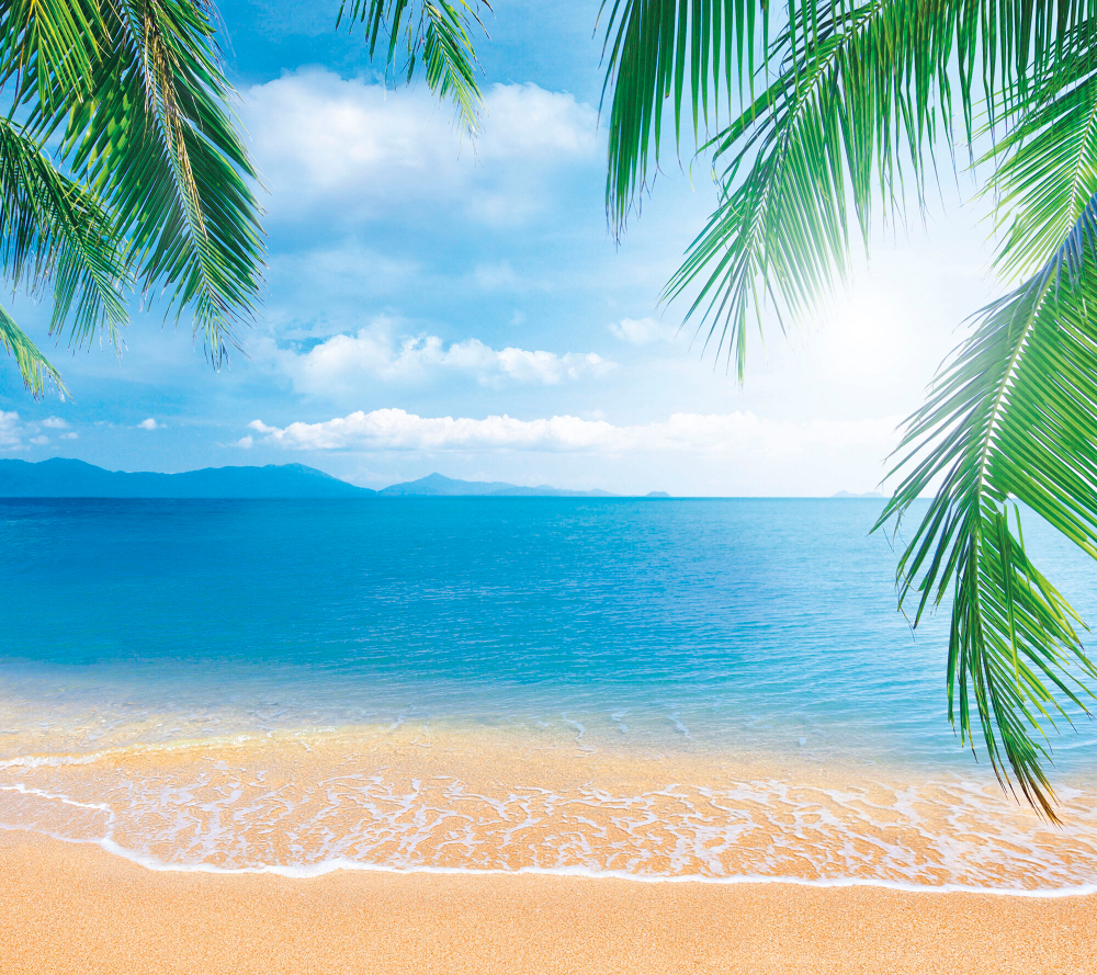 Коллекция Морской пейзаж