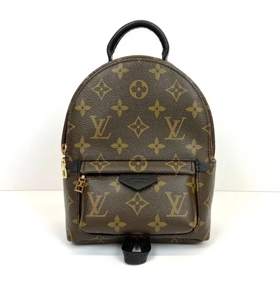 Рюкзак Louis Vuitton Palm Springs PM коричневый