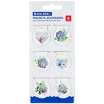 Закладки для книг МАГНИТНЫЕ, "FLOWERS", набор 6 шт., 30х25 мм, BRAUBERG, 113168