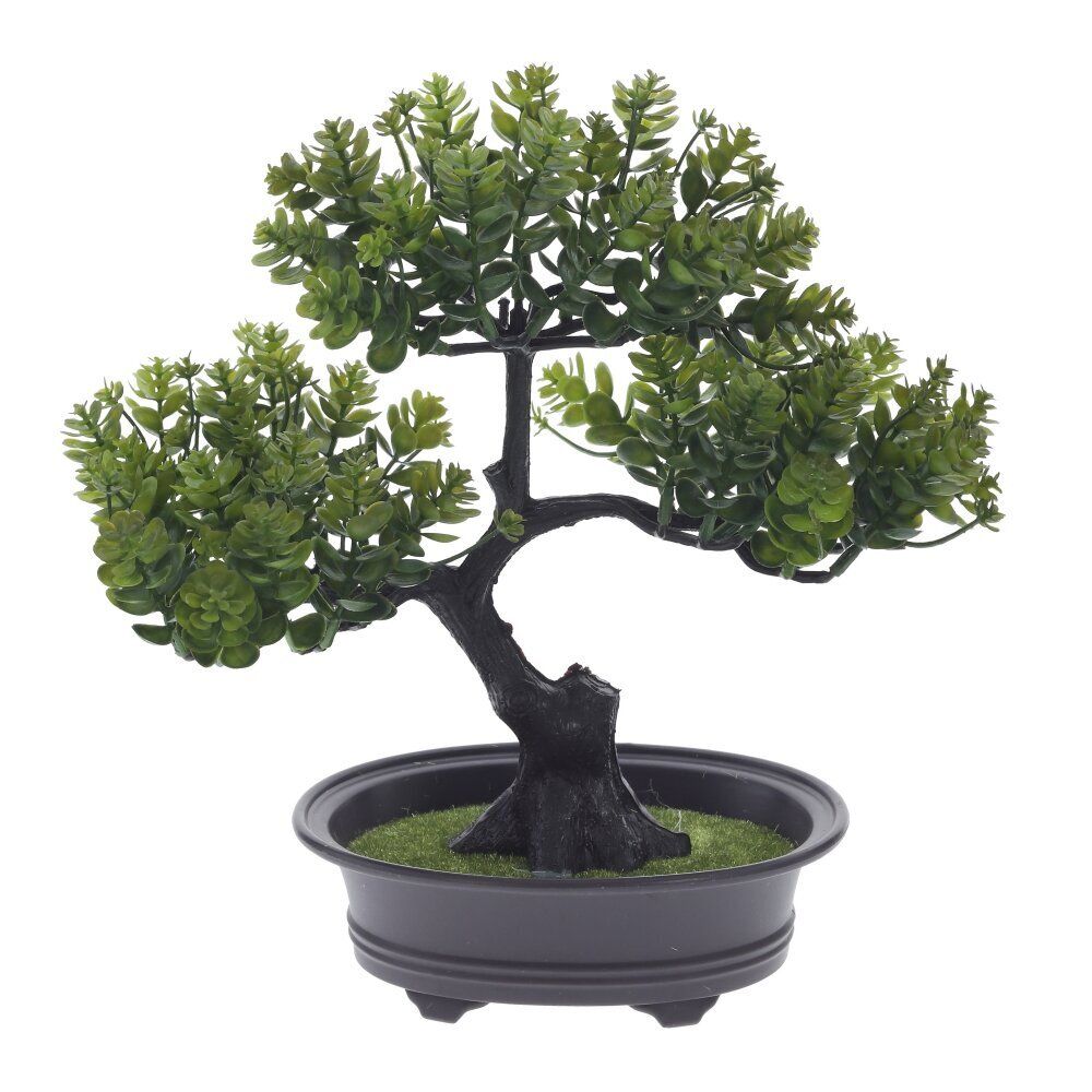 GAEM Цветочная композиция "Бонсай", L24 W14 H26 см