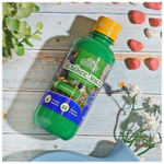 ЗЕЛЕНОЕ МЫЛО 0,25л (20)