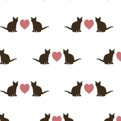 Влюблённые коты на белом фоне