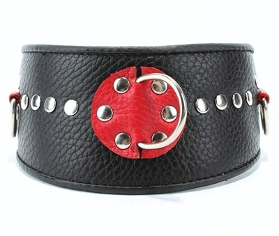 Черно-красный кожаный ошейник с металлическими клепками (Цвет: черный с красным)