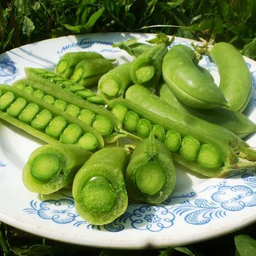 Комната Коллекционного Гороха