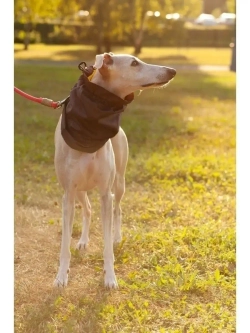 Снуды для собак непромокаемый шапка шарф для животных