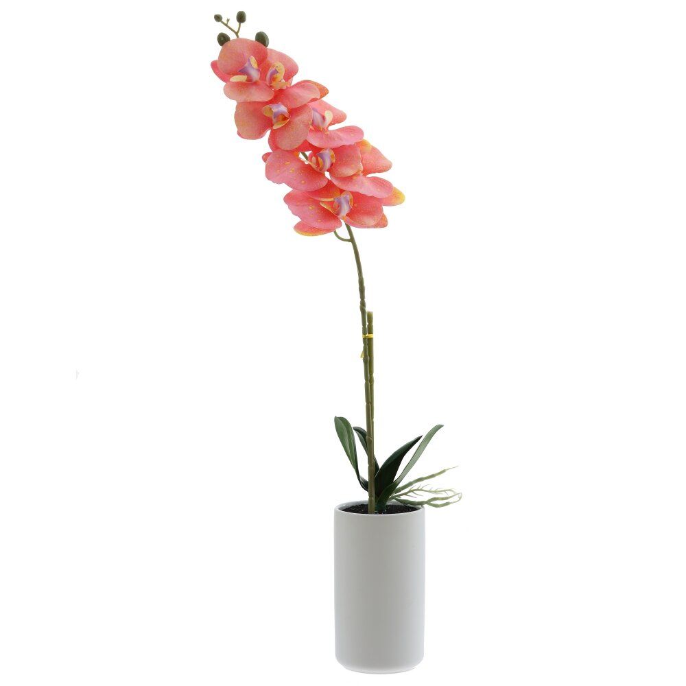 GAEM Цветочная композиция, L W H56 см