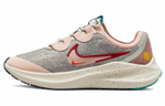 Кроссовки Nike Zoom Winflo 8 (Женская размерная сетка)