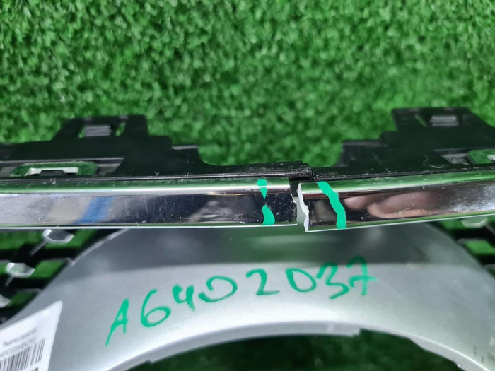 Решетка радиатора Mercedes S C217 (2017-2020)