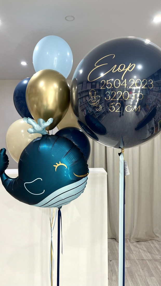 Шары на выписку №129