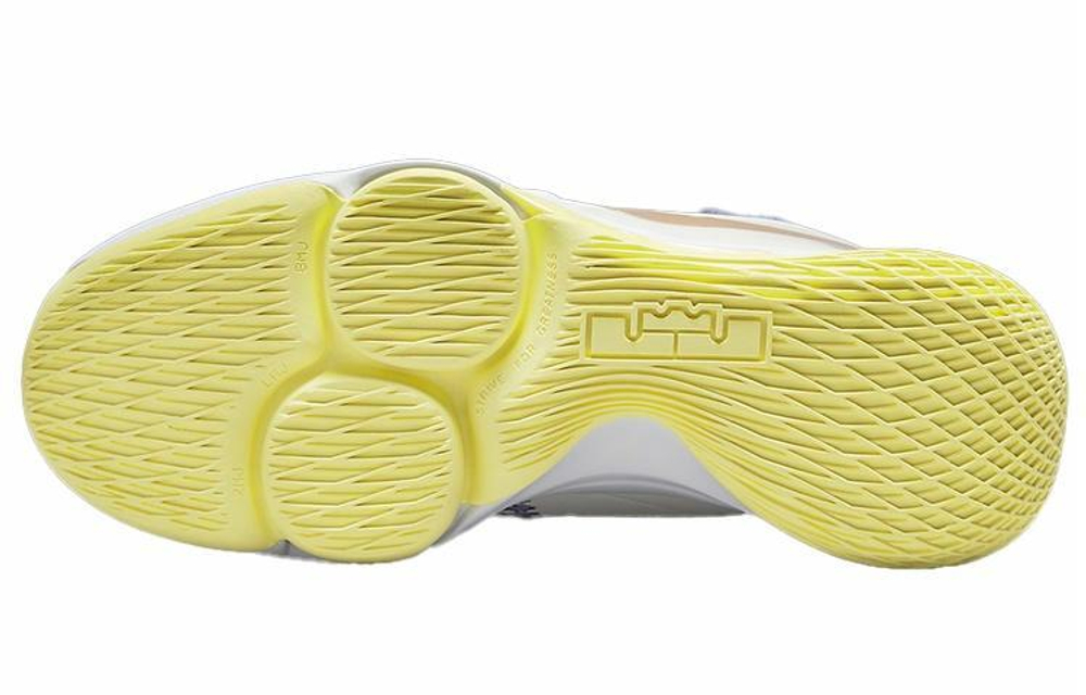 Кроссовки Nike Witness 5 Lebron Ep "Lakers"