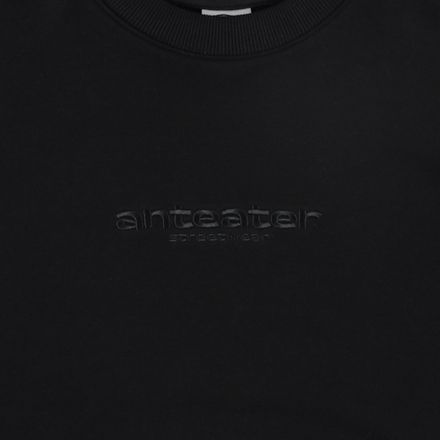 Свитшот Anteater Crewneck Text-Logo (black)