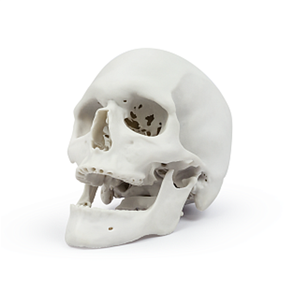Смола Demo Bone, цвет Bone (костный)