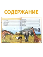 Энциклопедия 200 фактов о животных
