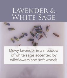 Лаванда и белый шалфей ароматический воск, Candle Warmers