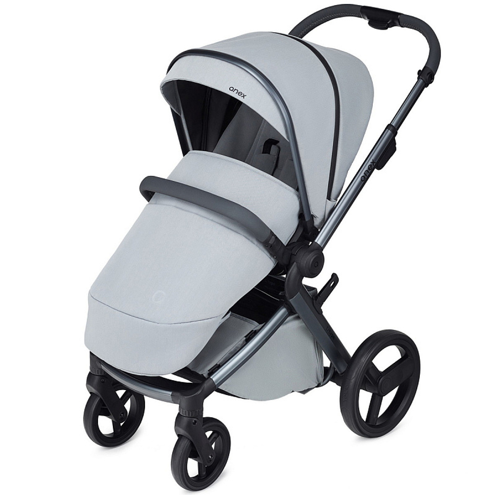 Детская коляска Anex l/type 2 в 1 с аксессуарами frost