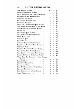 Colour Scheme in the Flower Garden | Jekyll Gertrude