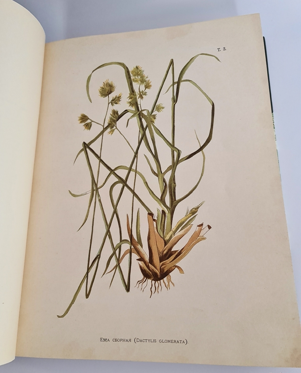 "Иллюстрированная классификация главнейших сортов луговых трав с кратким описанием каждой травы в отдельности". А.Ю.Лашкарев. 1898г. - редкая книга