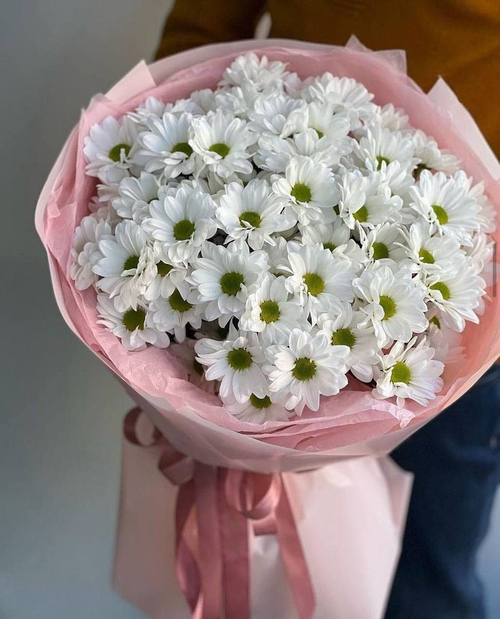 Букет из белых хризантем "Luna Grace"