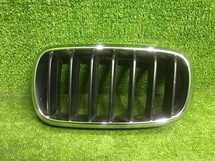 Решетка радиатора левая BMW X5 F15 X6 F16 (2013-2018)