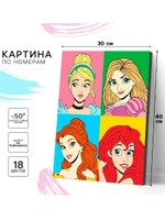 Картина по номерам Принцессы холст на подрамнике 30х40 см