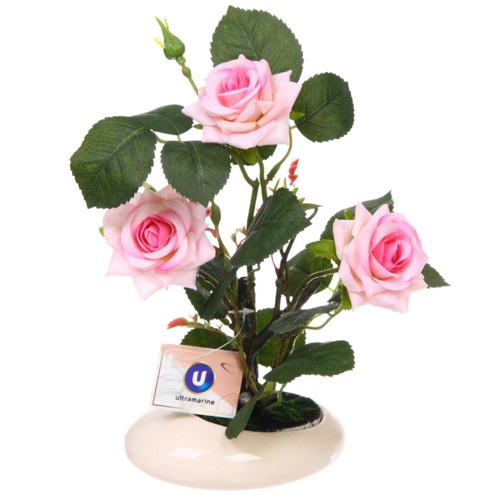 Цветочная композиция «Розовый восторг» 25см в горшке, цвет нежно-розовый