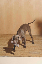 Игрушка Пони-Кренделькони