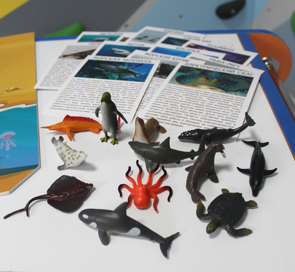 Набор Учёный кот для кинетической песочницы "МОРСКОЙ МИР"