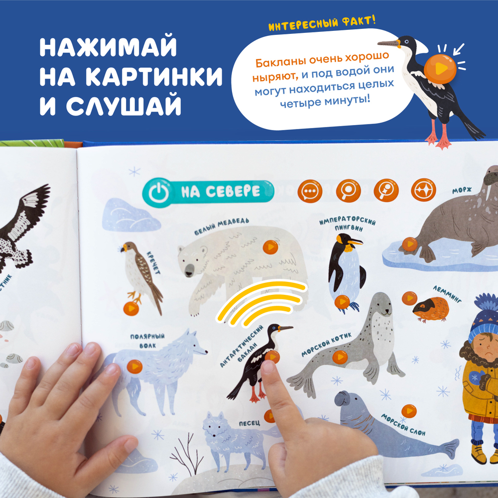 Говорящая книга для детей фингербук «Животные»